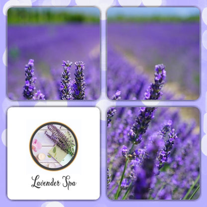 Lavender Spa - Large Luxury Reed Diffuser 150ml